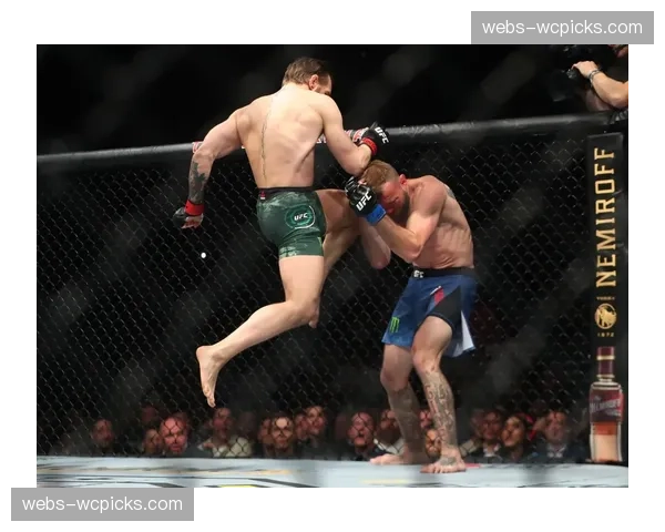 数据复盘:UFC 300全场共出现7次降伏尝试,创下数字赛新纪录 数据复盘:UFC 300全场共出现7次降伏尝试,创下数字赛新纪录